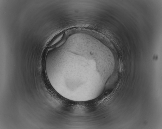 X0000088870252200706291547