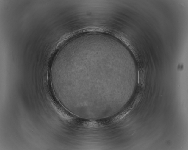 X0000088870253200706291547