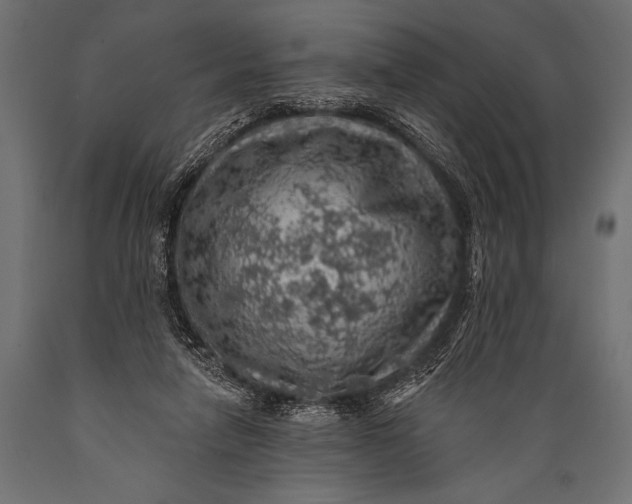 X0000088870258200706291547