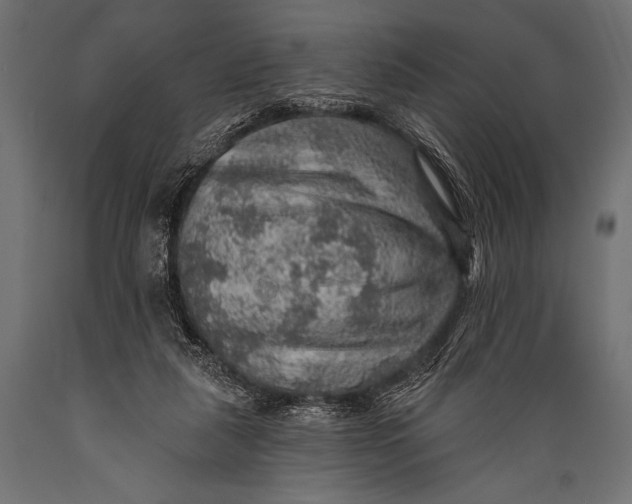 X0000088870259200706291547