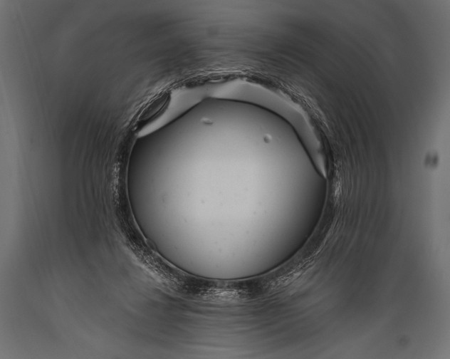 X0000088870260200706291547