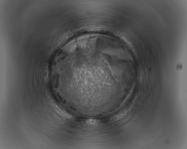 X0000088870261200706291547