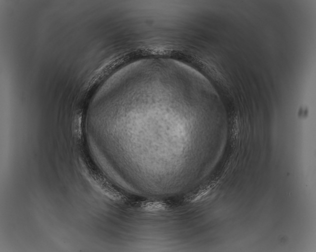 X0000088870262200706291547