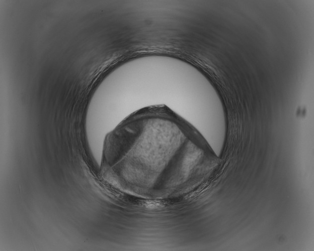 X0000088870264200706291547