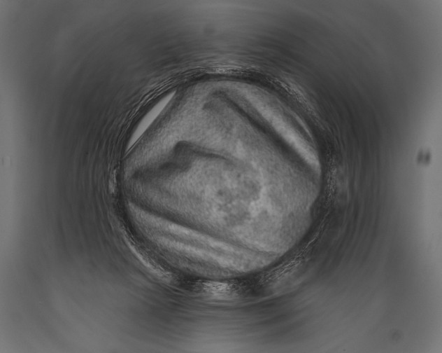 X0000088870265200706291547
