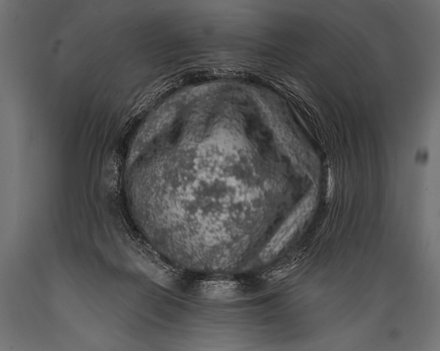 X0000088870266200706291547