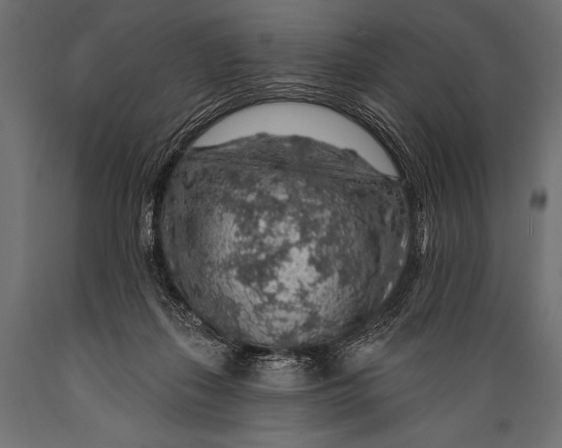 X0000088870267200706291547