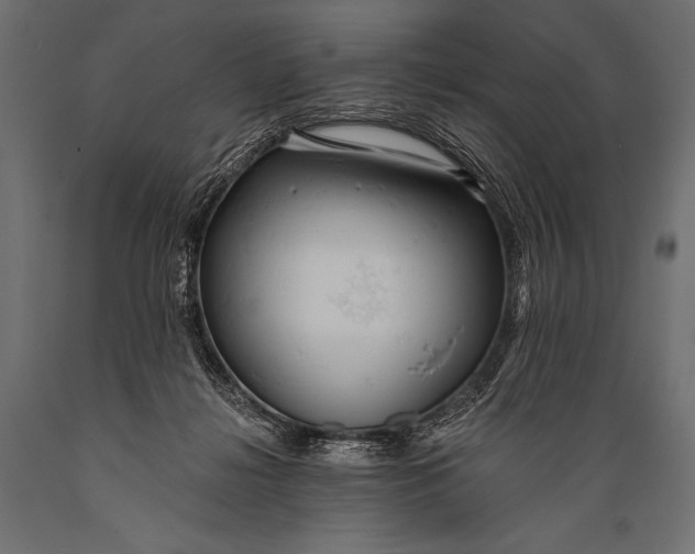 X0000088870268200706291547
