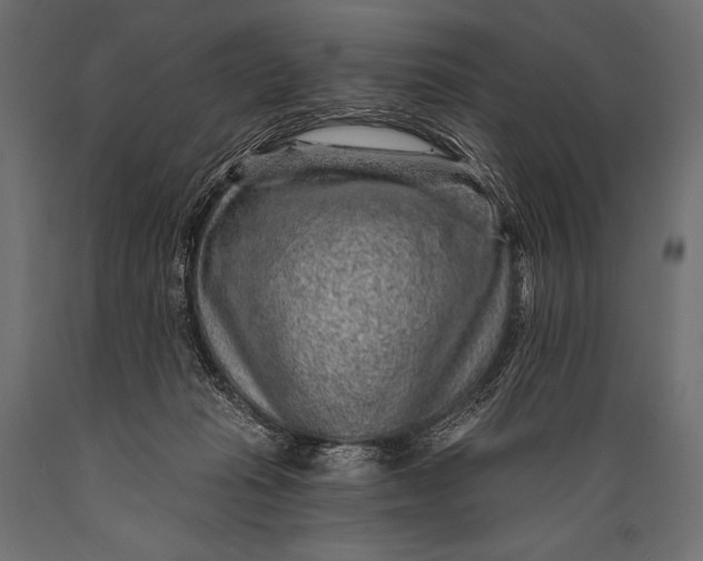 X0000088870269200706291547