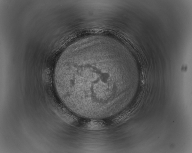 X0000088870270200706291547