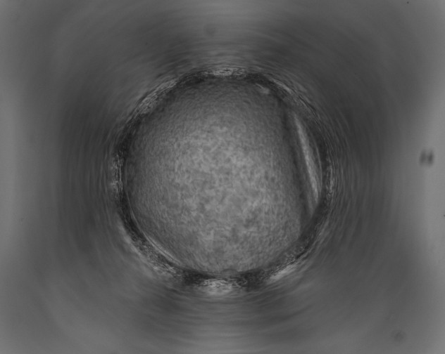 X0000088870272200706291547