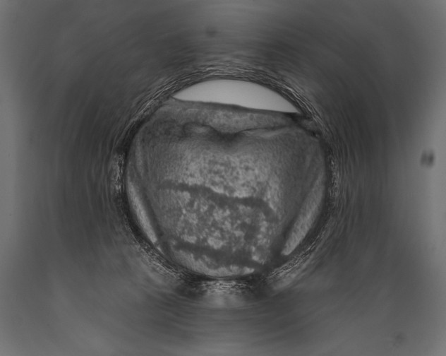X0000088870273200706291547