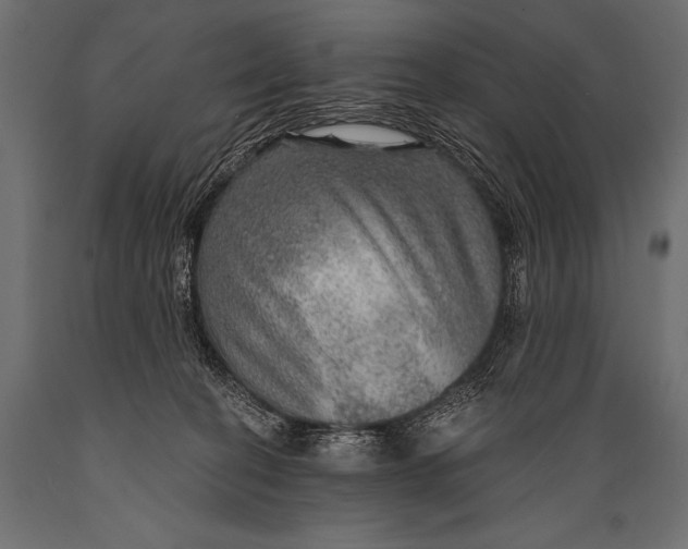 X0000088870274200706291547