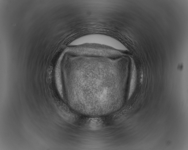 X0000088870275200706291547