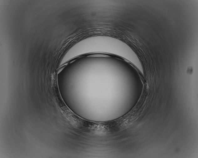X0000088870276200706291547
