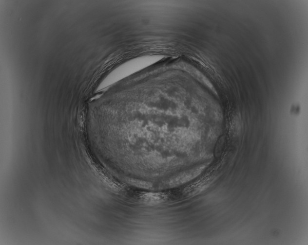 X0000088870277200706291547