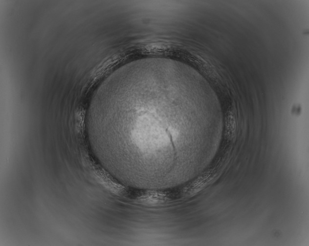 X0000088870278200706291547