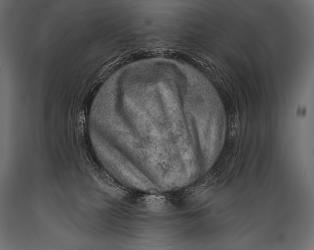 X0000088870279200706291547