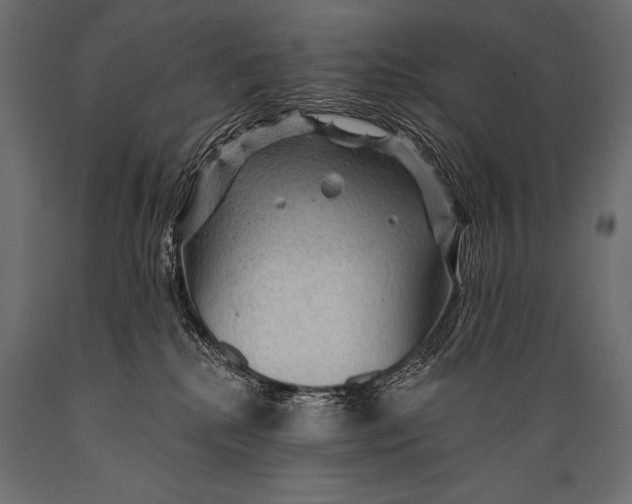 X0000088870280200706291547