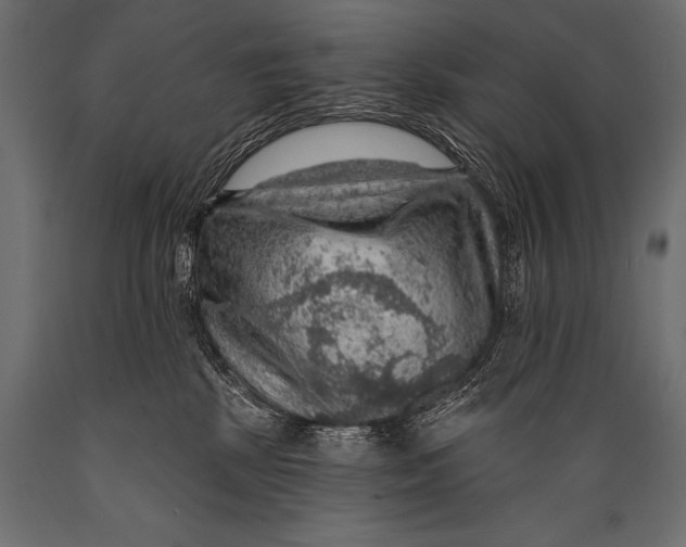 X0000088870281200706291547