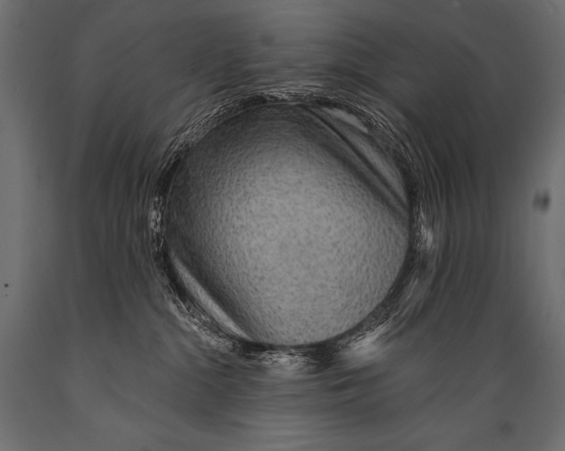 X0000088870284200706291547