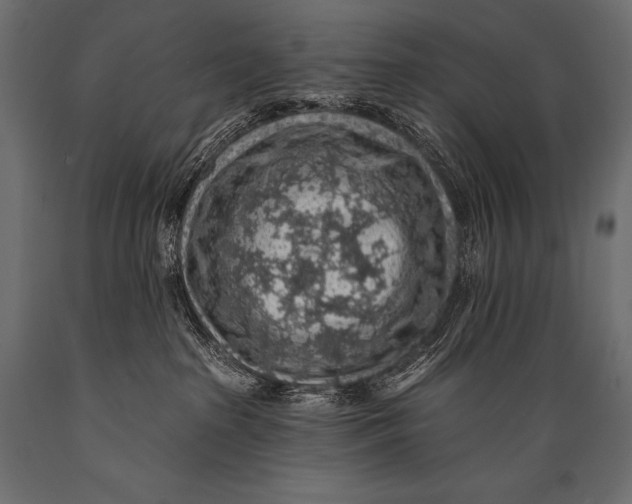 X0000088870285200706291547