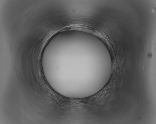 X0000088870289200706291546