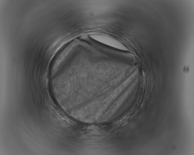 X0000088870290200706291546