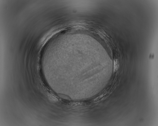 X0000088870291200706291546