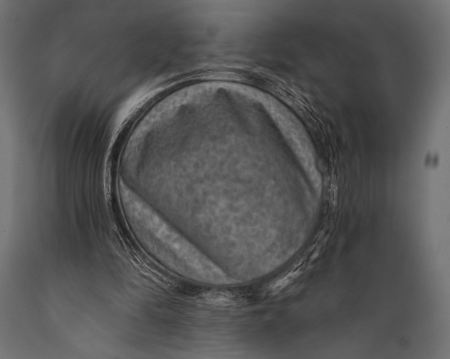 X0000088870294200706291546