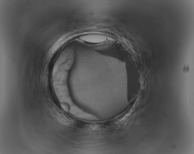 X0000088870295200706291546