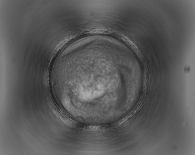 X0000088870298200706291546
