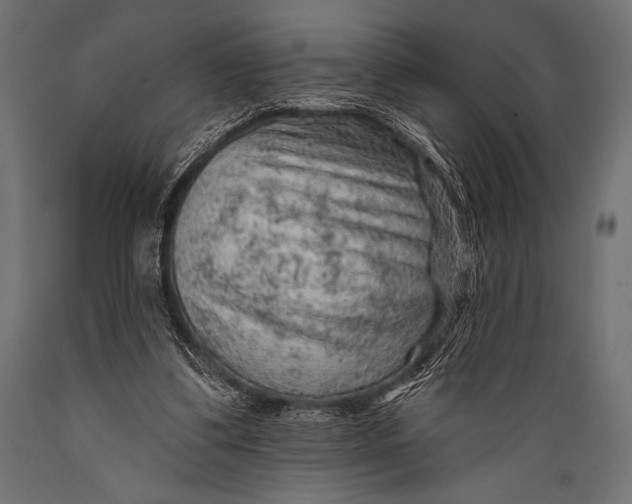 X0000088870299200706291546
