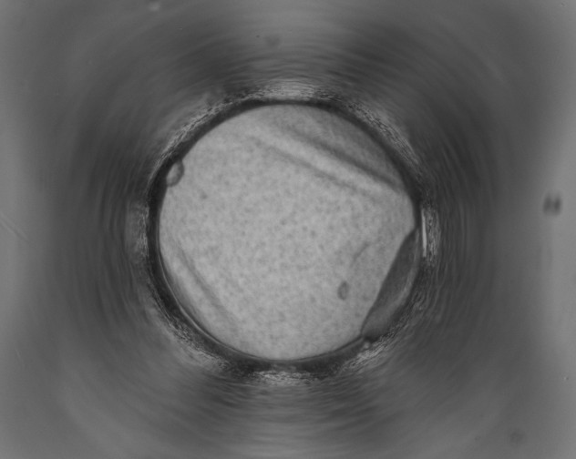 X0000088870300200706291546