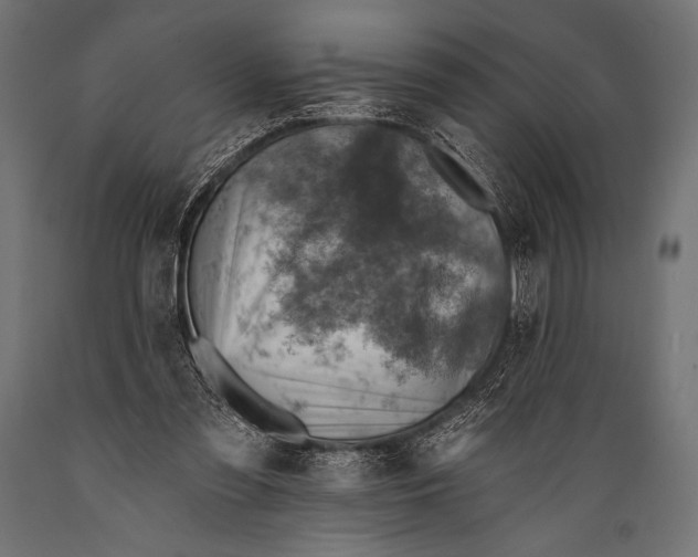 X0000088870301200706291546