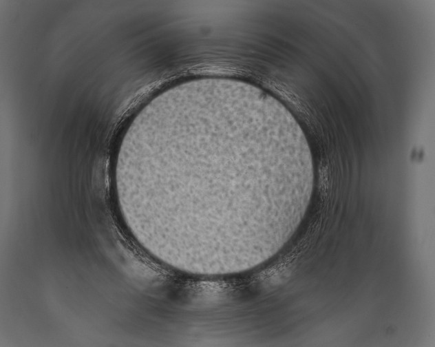 X0000088870302200706291546