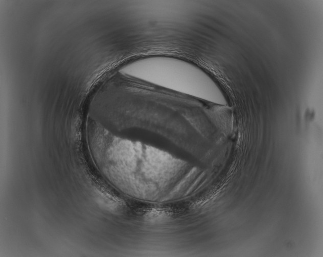 X0000088870303200706291546