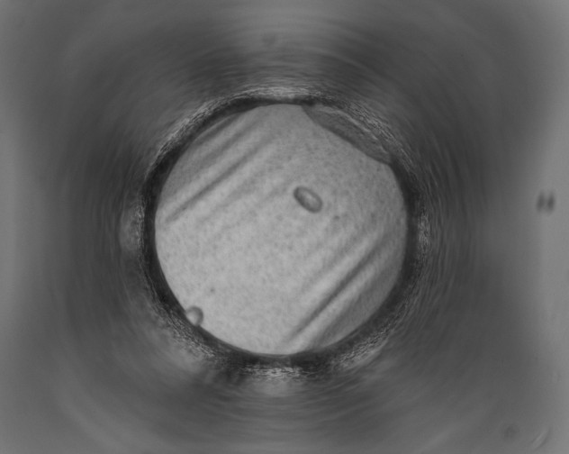 X0000088870304200706291546