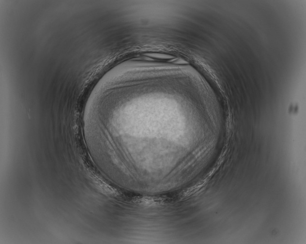 X0000088870305200706291546