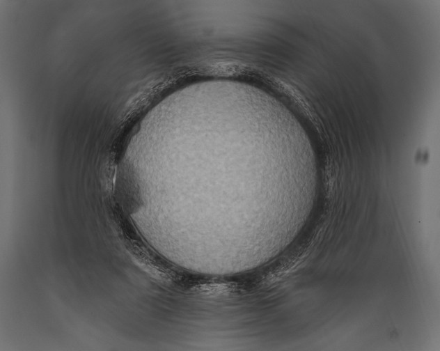 X0000088870307200706291546