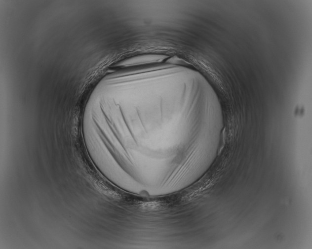 X0000088870309200706291546