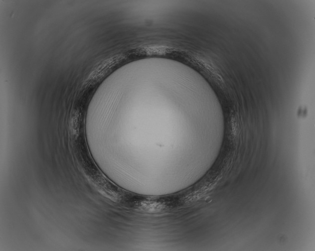 X0000088870311200706291546