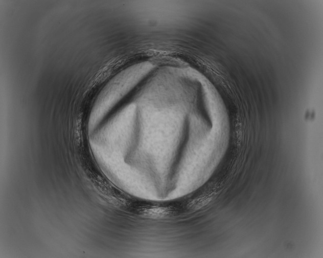 X0000088870312200706291546