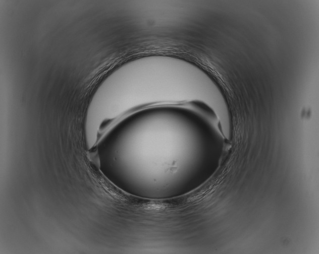X0000088870313200706291546