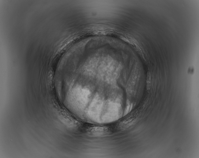 X0000088870314200706291546