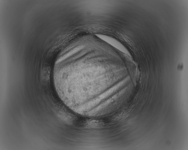 X0000088870315200706291546