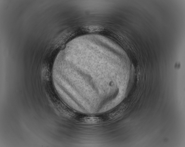X0000088870316200706291546