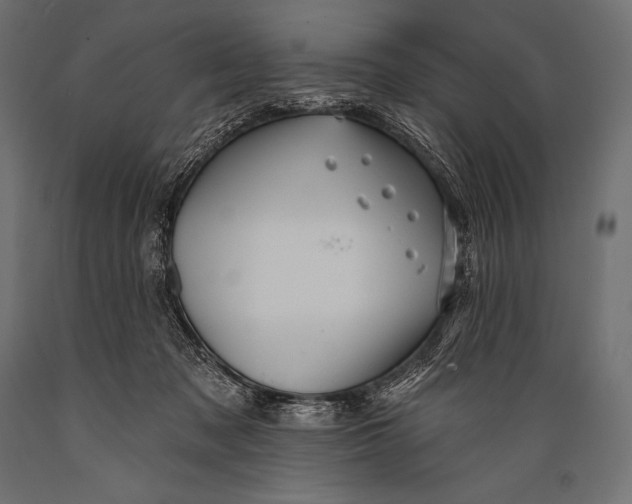 X0000088870317200706291546
