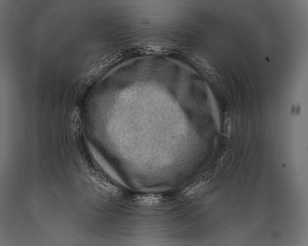 X0000088870318200706291546