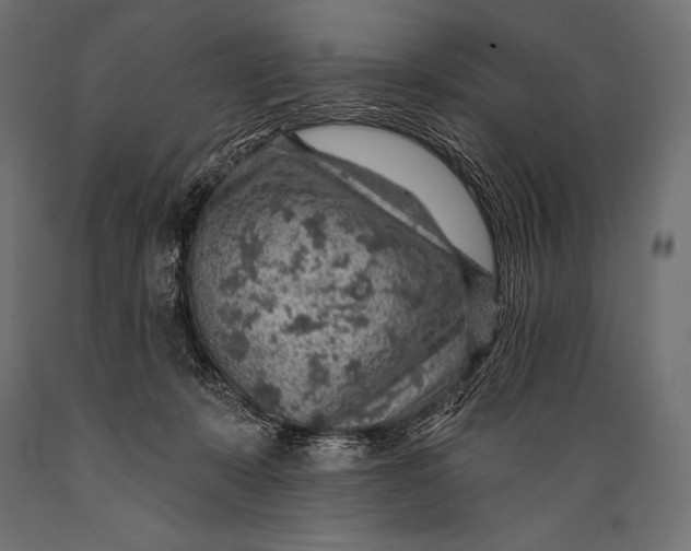 X0000088870319200706291546